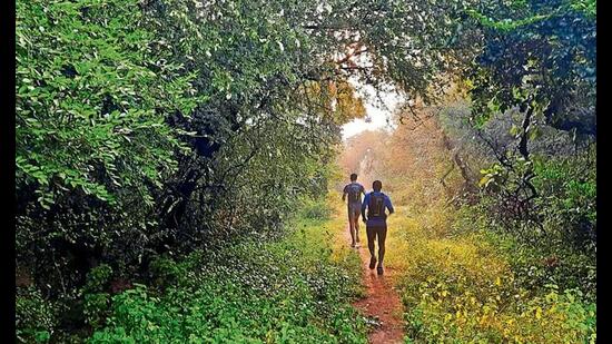 Tilpath Biodiversity Park is a popular place especially for those fond of spotting mammals such as the Spotted Hare, Sambar Deer and Nilgai.