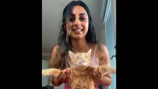 The cat can be seen doing a Bhangra dance, all thanks to his Punjabi pet mom.. (TikTok/@japmeeeeet)