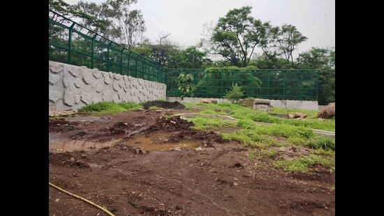 New Lion enclosure at Rajiv Gandhi Zoological Park and Wildlife Research Centre, Katraj. (Ravindra Joshi/HT PHOTO)