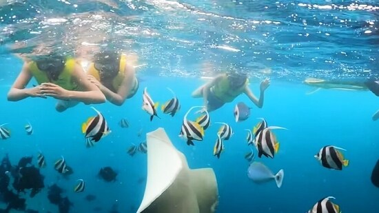 Sushmita Sen is seen snorkeling with her two daughters in the video.&nbsp;