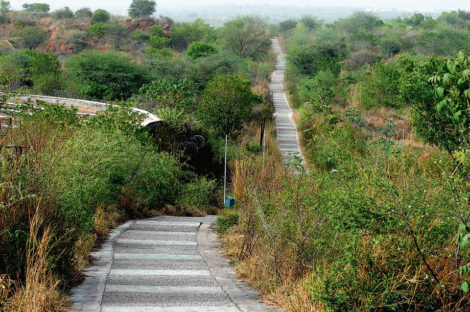 The Aravalli Biodiversity Park has Delhi’s first Orchidarium and is also known for its jackals and porcupine breeding. (Photo: Parveen Kumar/ HT) The Aravalli Biodiversity Park has Delhi’s first Orchidarium and is also known for its jackals and porcupine breeding. (Photo: Parveen Kumar/ HT)