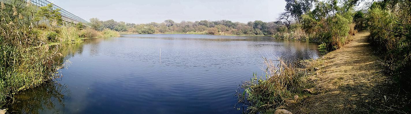 The Neela Hauz Biodiversity Park has made a huge contribution towards restoring the lake ecosystem. The Neela Hauz Biodiversity Park has made a huge contribution towards restoring the lake ecosystem.