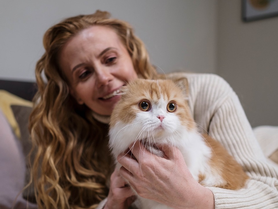 When compared to dogs, cats are considered a more independent pet (Pexels) When compared to dogs, cats are considered a more independent pet (Pexels)