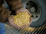 Based on state-of-the-art indigenous technology, the project will turn a new chapter in India's waste-to-wealth endeavours by utilising about 2 lakh tonnes of rice straw annually to generate around 3 crore litres of ethanol.&nbsp;(REUTERS)