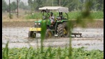 Not part of Punjabi diet, yet a bane: Agri minister Dhaliwal on rice cultivation Not part of Punjabi diet, yet a bane: Agri minister Dhaliwal on rice cultivation