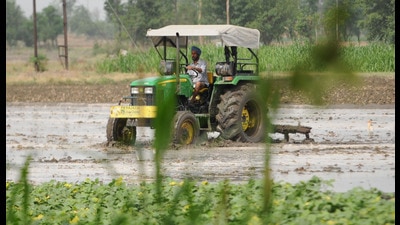 Not part of Punjabi diet, yet a bane: Agri minister Dhaliwal on rice cultivation