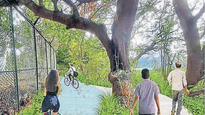 The proposed Powai Lake Rejuvenation Project, which includes a cycle and jogging track around the water body. (Hindustan Times) The proposed Powai Lake Rejuvenation Project, which includes a cycle and jogging track around the water body. (Hindustan Times)