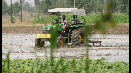 Not part of Punjabi diet, yet a bane: Agri minister Dhaliwal on rice cultivation