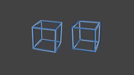 The image has been taken from the viral optical illusion. It shows two cubes.&nbsp;(Twitter/@SteveStuWill)
