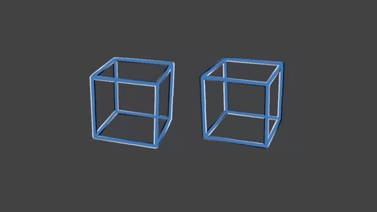 The image has been taken from the viral optical illusion. It shows two cubes.&nbsp;(Twitter/@SteveStuWill)