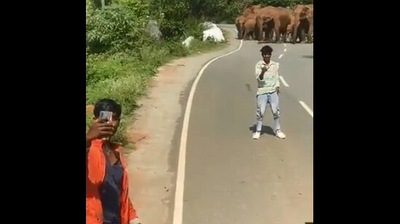 The image, taken from the Twitter video, shows a men trying to take selfie with a herd of elephants. (Twitter/@supriyasahuias)