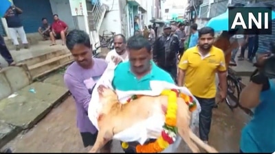 Screengrab taken from the video