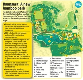 The Delhi Development Authority (DDA) will plant 20,000 bamboo saplings of 15 varieties this monsoon season. (HT Illustration) The Delhi Development Authority (DDA) will plant 20,000 bamboo saplings of 15 varieties this monsoon season. (HT Illustration)