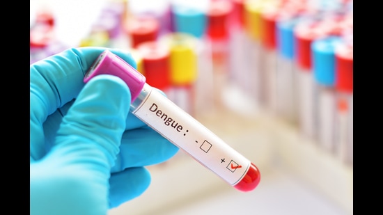 Pune city has reported 1,729 suspected and 213 confirmed cases of dengue and 81 cases of chikungunya this year. (REPRESENTATIVE IMAGE) Pune city has reported 1,729 suspected and 213 confirmed cases of dengue and 81 cases of chikungunya this year. (REPRESENTATIVE IMAGE)