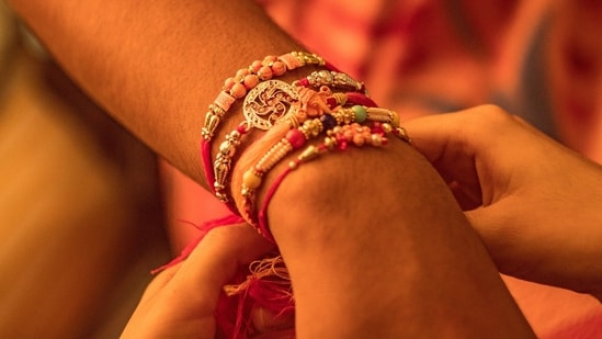 about raksha bandhan festival in hindi