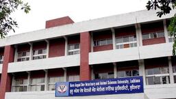 Another group of 27 farmers acquired practical skills in ‘Carp Culture’ during a five-day training programme at COF, GADVASU, Ludhiana. (HT FILE)