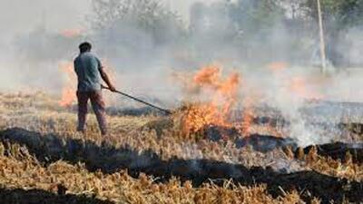 The Punjab Pollution Control Board (PPCB) will keep an eye on top 10 districts, known to be chronic violators and reporting the highest number of paddy stubble burning incidents during the Kharif season (HT PHOTO)
