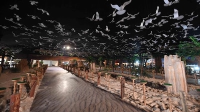 More than half a million people will descend on the 2022 International Saudi Falcons and Hunting Exhibition, the world's largest falconry event, taking place from August 25-September 3. (Twitter/@SapracOrg) More than half a million people will descend on the 2022 International Saudi Falcons and Hunting Exhibition, the world's largest falconry event, taking place from August 25-September 3. (Twitter/@SapracOrg)