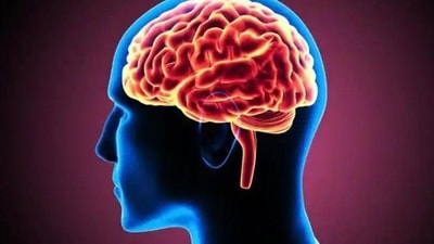 Ageing neutralises sex differences in the brain: Study (Shutterstock)