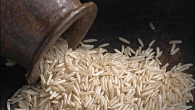 As per the World Health Organization (WHO), food fortification is one of the widely accepted food-based strategies to address anaemia and micronutrient deficiencies. (pic for representation)