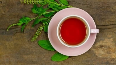 Tulsi tea is an amazing cure for Migraine. When mixed with a cup of tea, tulsi leaves help in curing headaches. It is also given a lot of importance in Ayurveda medicine. (Unsplash)