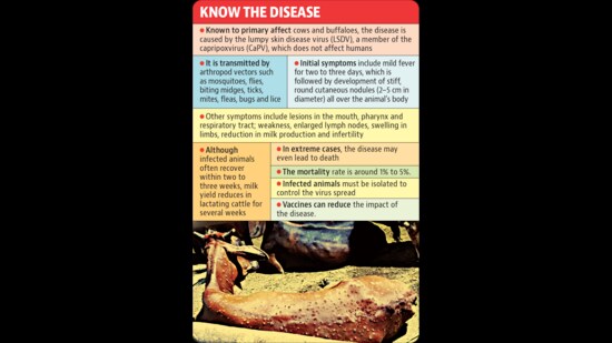 Lumpy skin disease cases cross 740 in Mohali, 130 in Panchkula