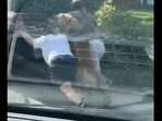 The image, taken from the viral Reddit video, shows the Golden Retriever helping its humans to push a car.