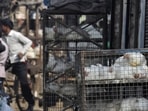 MCG officials said that the Haryana Urban Local Bodies’ order will affect 130 licensed meat shops in Gurugram.(Sunil Ghosh/HT Photo) MCG officials said that the Haryana Urban Local Bodies’ order will affect 130 licensed meat shops in Gurugram.(Sunil Ghosh/HT Photo)