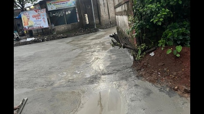 The forest department sent a notice to Panvel City Municipal Corporation for making a road on the forest land. (HT PHOTO) The forest department sent a notice to Panvel City Municipal Corporation for making a road on the forest land. (HT PHOTO)