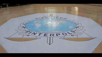 At least 19 Interpol member countries including India contributed to the report. (AP) At least 19 Interpol member countries including India contributed to the report. (AP)