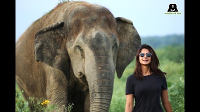 ActorJennifer Winget was thrilled to observe the gentle giants on their afternoon walk (Sourced) ActorJennifer Winget was thrilled to observe the gentle giants on their afternoon walk (Sourced)