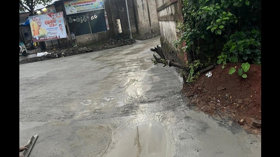 The forest department sent a notice to Panvel City Municipal Corporation for making a road on the forest land. (HT PHOTO)