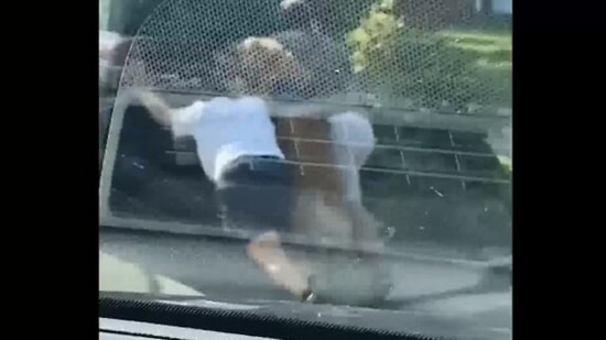 The image, taken from the viral Reddit video, shows the Golden Retriever helping its humans to push a car. (Reddit/@PeecockPrince)