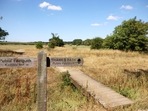 The dried out river bed is seen at the head of the River Thames, in Kemble. The dried out river bed is seen at the head of the River Thames, in Kemble.