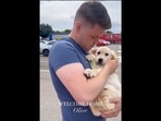 A screengrab from the video that shows a woman suprising her husband with a Golden Retriever dog. The image shows the pet dad with Olive, the Golden Retriever dog. (Instagram/ilovemyretrieverdog) A screengrab from the video that shows a woman suprising her husband with a Golden Retriever dog. The image shows the pet dad with Olive, the Golden Retriever dog. (Instagram/ilovemyretrieverdog)