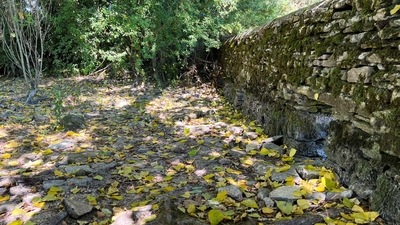 A general view of a weir and dried riverbed near the source of the River Thames, in Kemble, in Gloucestershire, Britain August 10, 2022. &nbsp; (REUTERS)