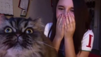 Taken from the Reddit video, the image shows the cat interrupting the opera singer. (Reddit/@QuicklyThisWay)