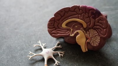 COVID-19 damages the brain cells? Here's what a new study found out (Unsplash) COVID-19 damages the brain cells? Here's what a new study found out (Unsplash)