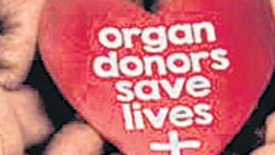 officials have highlighted the need to spread awareness about organ- and cadaver organ- donation among the younger generation. (REPRESENTATIVE PHOTO) officials have highlighted the need to spread awareness about organ- and cadaver organ- donation among the younger generation. (REPRESENTATIVE PHOTO)