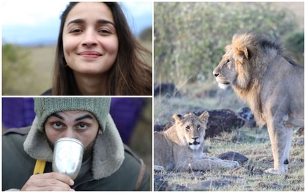 Alia Bhatt and Ranbir Kapoor's dreamy proposal at Maasai Mara. Alia Bhatt and Ranbir Kapoor's dreamy proposal at Maasai Mara.