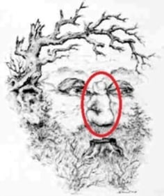 The girl is encircled in red in the optical illusion image. (brainden.com/Sandro del Prete) The girl is encircled in red in the optical illusion image. (brainden.com/Sandro del Prete)