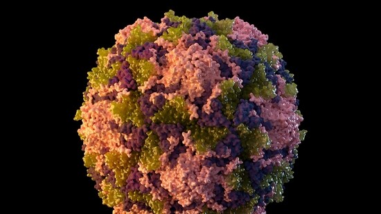 This 2014 illustration made available by the U.S. Centers for Disease Control and Prevention depicts a polio virus particle.(AP)