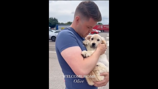A screengrab from the video that shows a woman suprising her husband with a Golden Retriever dog. The image shows the pet dad with Olive, the Golden Retriever dog.&nbsp;(Instagram/ilovemyretrieverdog)
