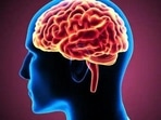Research shows that brain changes were far better predictors of learning(Shutterstock)