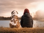 Pet Care : 10 pet hacks that every per parent should know.(Pixabay) Pet Care : 10 pet hacks that every per parent should know.(Pixabay)