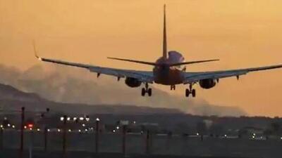 DGCA said the patrols should be carried out in a random pattern rather than a regular route so that wildlife do not ‘learn’ or become accustomed to the timing of patrols (AP FIle Photo)