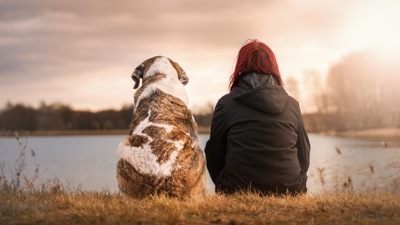 Pet Care : 10 pet hacks that every per parent should know. (Pixabay) Pet Care : 10 pet hacks that every per parent should know. (Pixabay)