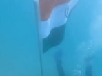 Screengrab from the video posted by news agency ANI.