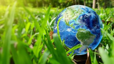 A PAC suggested shifting dairies away from Ludhiana’s Buddha Nullah to put an end to the pollution. (Shutterstock)