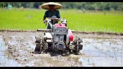 Farmers are racing against the clock to plant key summer crops, which account for nearly half of the country’s annual food output, due to a highly uneven monsoon, with the sowing of rice well behind its usual pace. (ANI) Farmers are racing against the clock to plant key summer crops, which account for nearly half of the country’s annual food output, due to a highly uneven monsoon, with the sowing of rice well behind its usual pace. (ANI)